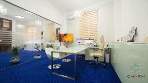 Charm Studio Videochat Birou 1.0 HR